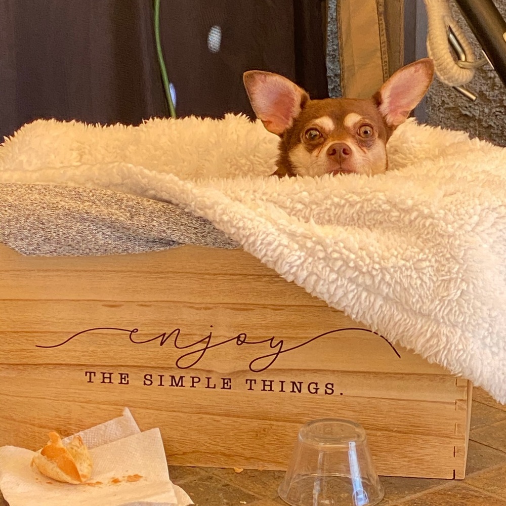 Meet your Posher, Norma